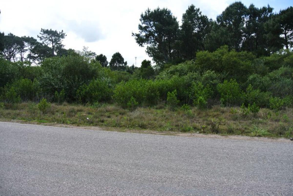  Land in Maldonado, Uruguay No. 15649