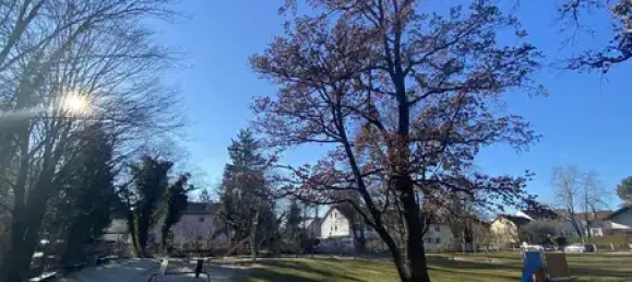 3غرفة شقة في Munich, Germany رقم 158935 12