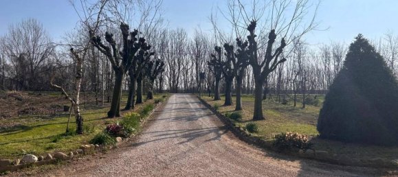 7 rooms Villa in Budrio, Italy No. 110249 23