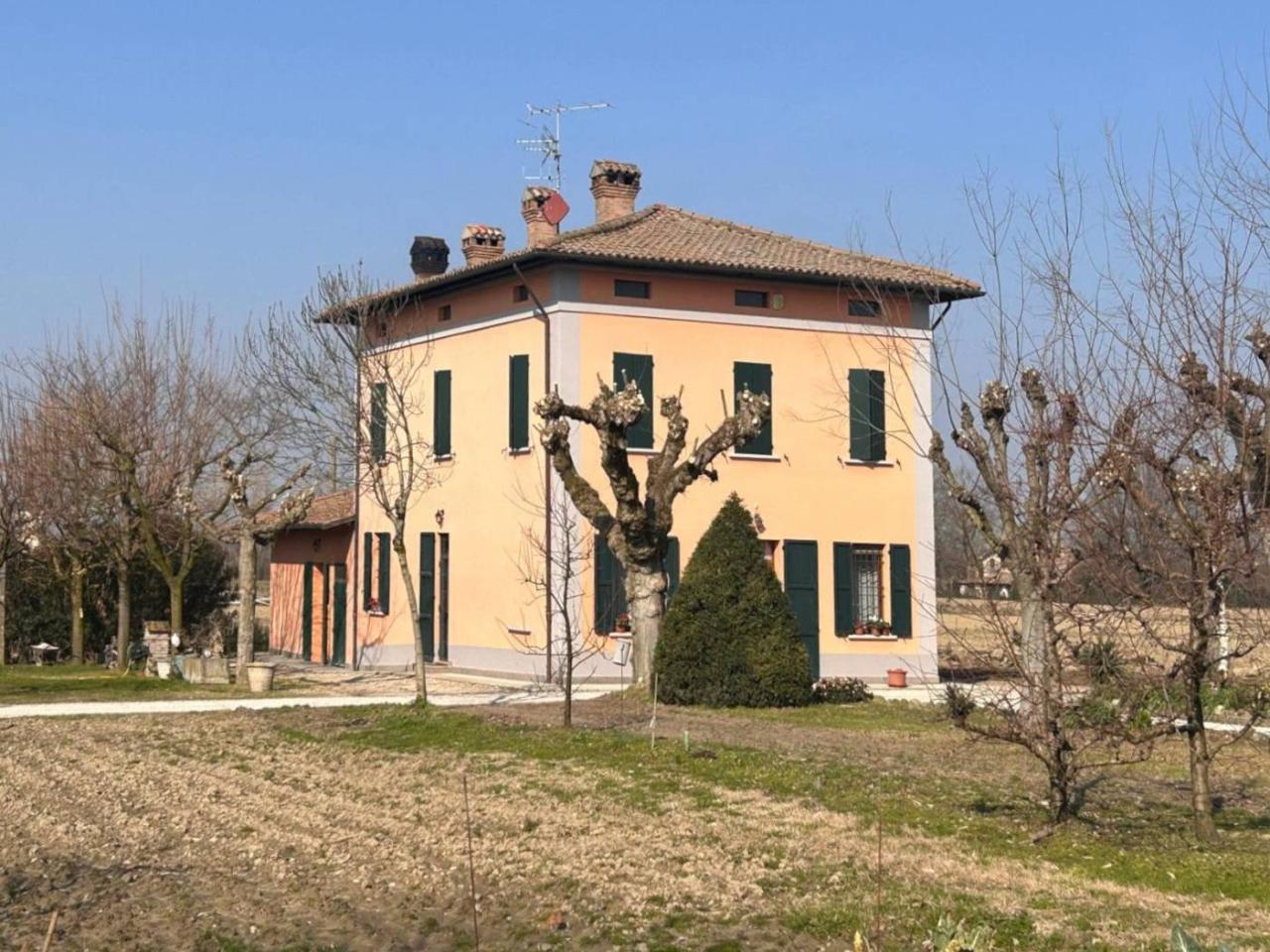 7 rooms Villa in Budrio, Italy No. 110249