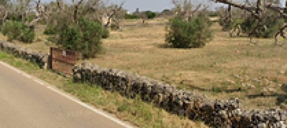 19000m² Land in Parabita, Italy No. 302888 3