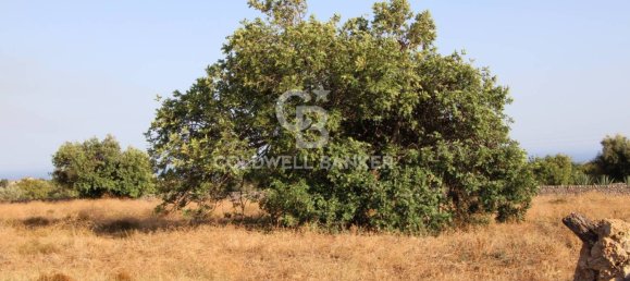 Terreno en Scicli, Italy 10000 m² No. 290770 26