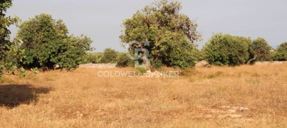 Terreno en Scicli, Italy 10000 m² No. 290770 25