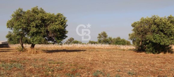 Terreno en Scicli, Italy 10000 m² No. 290770 3