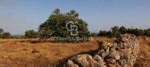 Terreno en Scicli, Italy 10000 m² No. 290770 22