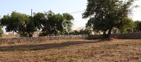 Terreno en Scicli, Italy 10000 m² No. 290770 4