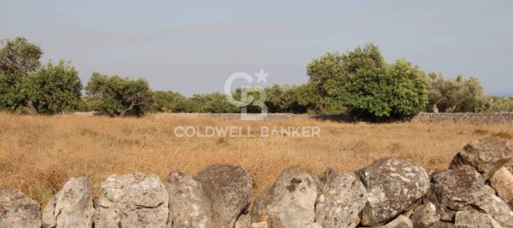 Terreno en Scicli, Italy 10000 m² No. 290770 18