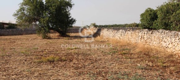 Terreno en Scicli, Italy 10000 m² No. 290770 14