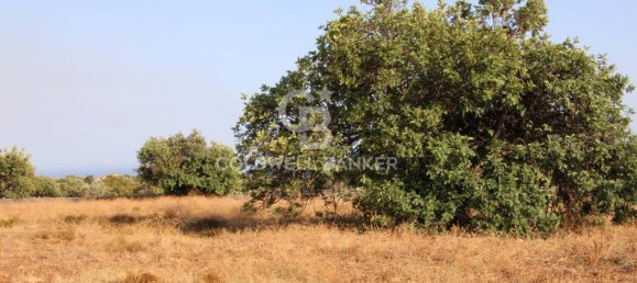 Terreno en Scicli, Italy 10000 m² No. 290770 23