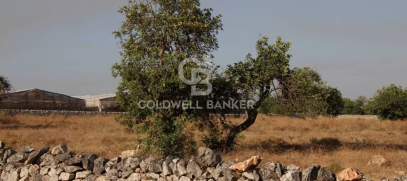 Terreno en Scicli, Italy 10000 m² No. 290770 13