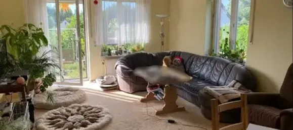 Дом с 5 комнатами в Gorlitz, Германия № 275244 13