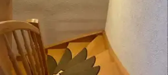 Дом с 5 комнатами в Gorlitz, Германия № 275244 25