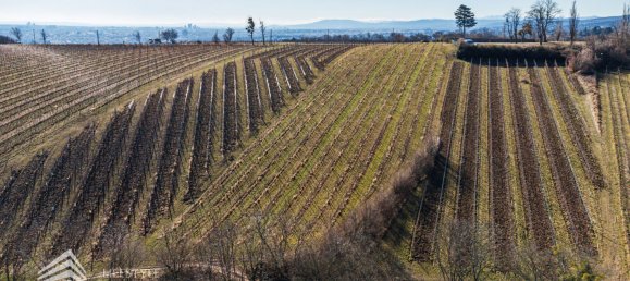 قطعة أرض في Dobling, Austria رقم 71466 2