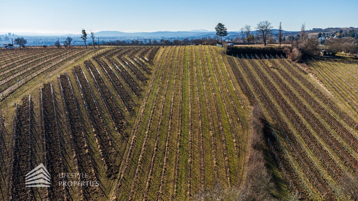  قطعة أرض في Dobling, Austria رقم 71466