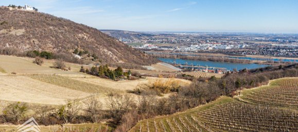 قطعة أرض في Dobling, Austria رقم 71466 3