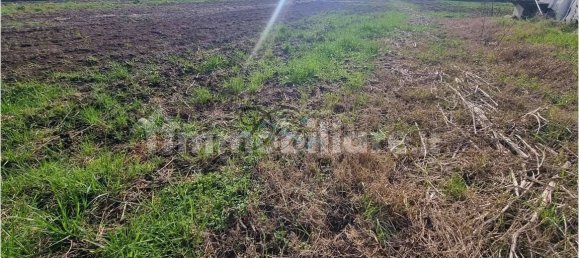 3 chambres Maison à Lucca, Italy No. 309004 8