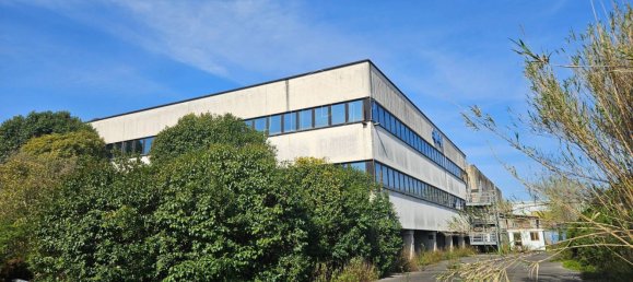 3445m² Building in Santo Stefano di Magra, Italy No. 121097 12