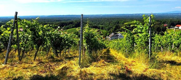 Castelos de 3 divisões em Kloch, Austria N.º 215505 19