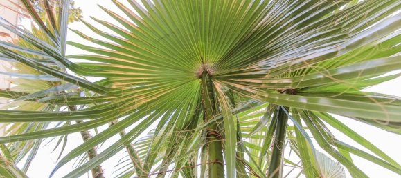 4-Zimmer Wohnung in Reggio Emilia, Italy, Nr. 299456 19