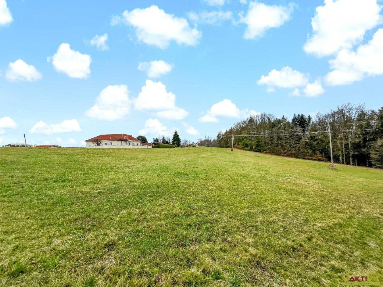 10956m² Land in German Kaltenbrunn, Austria No. 172710