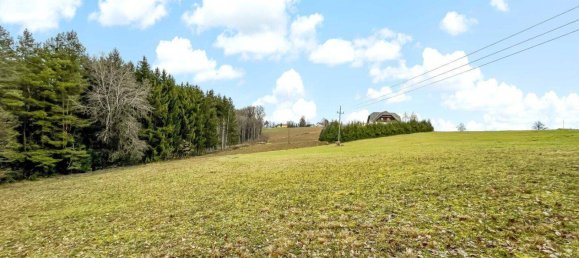 10956m² Land in German Kaltenbrunn, Austria No. 172710 7