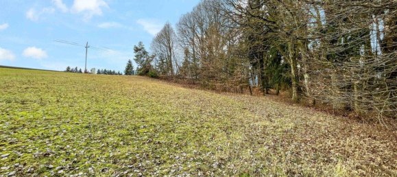10956m² Land in German Kaltenbrunn, Austria No. 172710 5