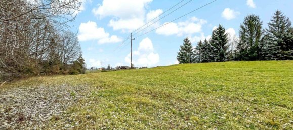 10956m² Land in German Kaltenbrunn, Austria No. 172710 11