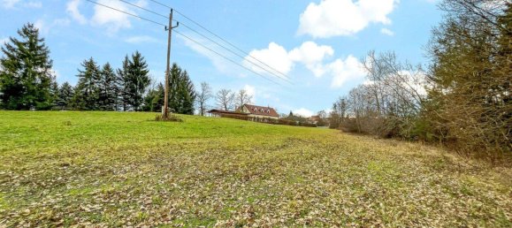 10956m² Land in German Kaltenbrunn, Austria No. 172710 9