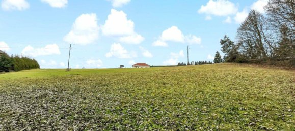 10956m² Land in German Kaltenbrunn, Austria No. 172710 4