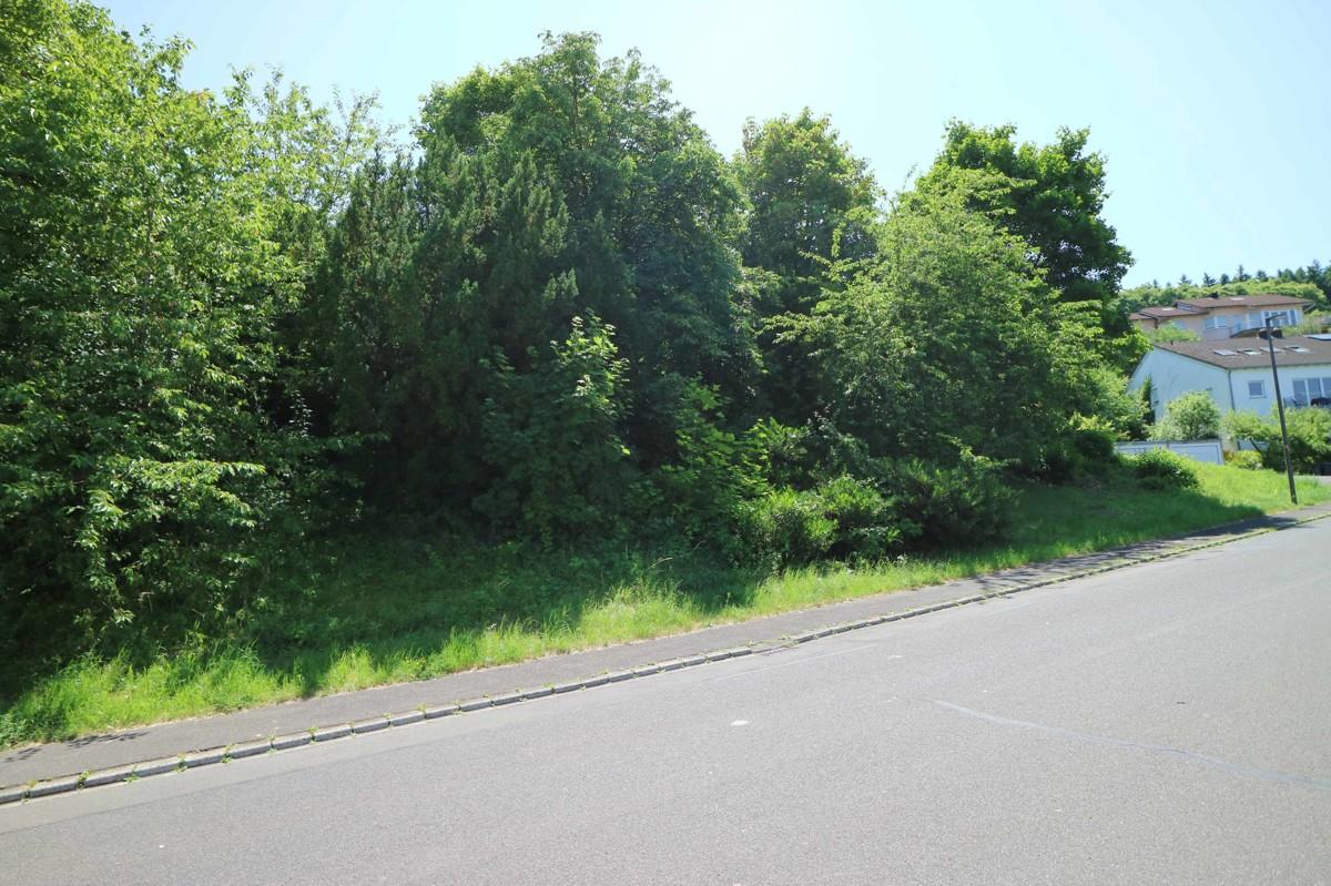  قطعة أرض في Trier, Germany رقم 35029