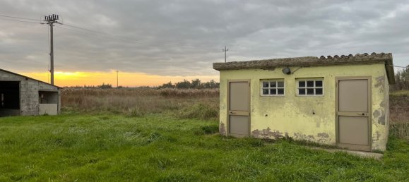 4-Zimmer Haus in Porto Viro, Italy, Nr. 256263 9