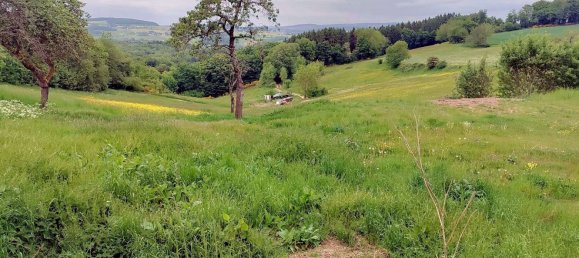 Casa T4 em Rhineland-Palatinate, Germany N.º 262159 8