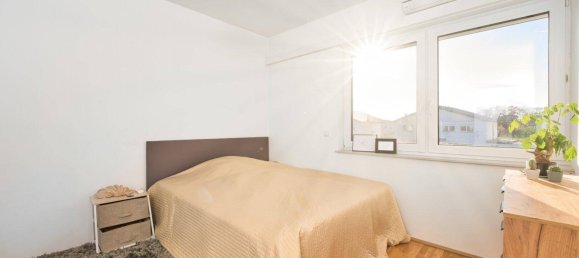 Adosado de 5 habitaciónes en Prellenkirchen, Austria No. 199472 3