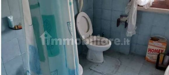 4 bedrooms House in Casale di Scodosia, Italy No. 270960 14