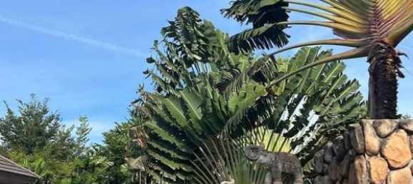 3 bedrooms Cafe / restaurant in Pattaya, Thailand No. 25215 5