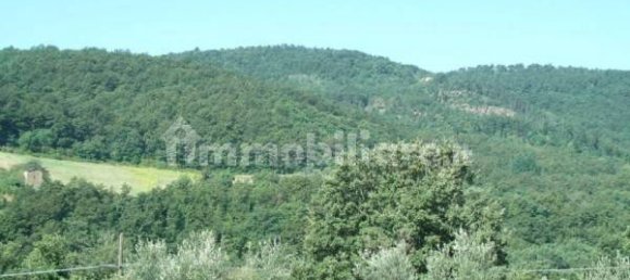 4 Schlafzimmer Haus in Lisciano Niccone, Italy, Nr. 123581 5