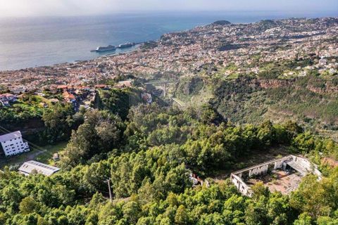  Land in Funchal, Portugal No. 303720