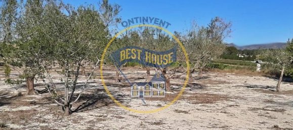 3 Schlafzimmer Haus in Albaida, Spain, Nr. 184686 4