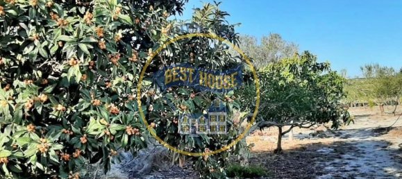 3 Schlafzimmer Haus in Albaida, Spain, Nr. 184686 31