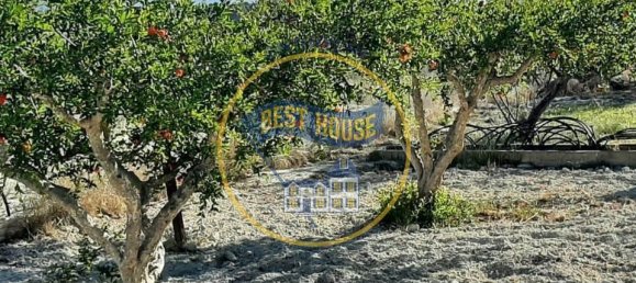 3 Schlafzimmer Haus in Albaida, Spain, Nr. 184686 25