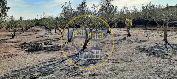 3 Schlafzimmer Haus in Albaida, Spain, Nr. 184686 30