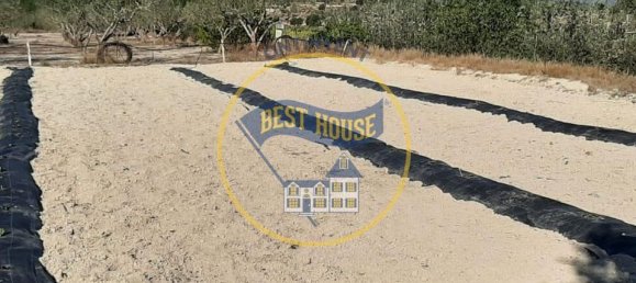 3 Schlafzimmer Haus in Albaida, Spain, Nr. 184686 6