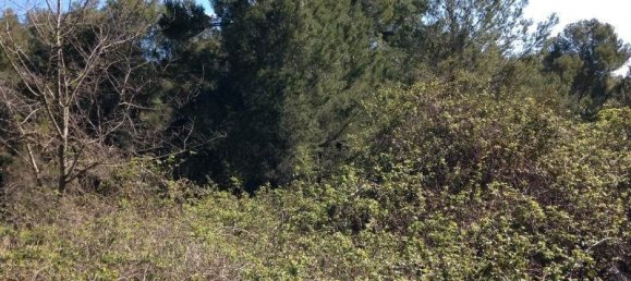 833m² Land in Piera, Spain No. 164637 3