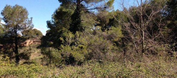 833m² Land in Piera, Spain No. 164637 6