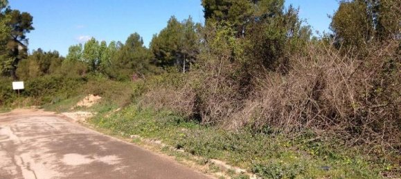 833m² Land in Piera, Spain No. 164637 2