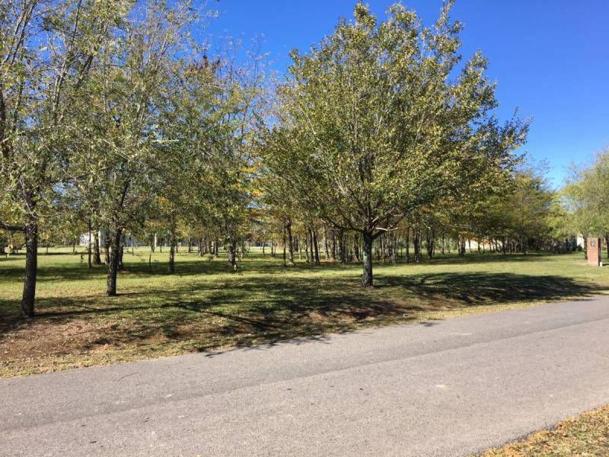 Grundstück in Pilar, Argentina, Nr. 31259