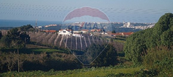 Grundstück in Cela, Portugal 2825m², Nr. 71340 12