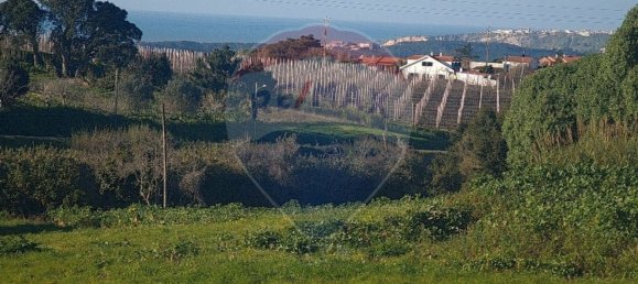 Grundstück in Cela, Portugal 2825m², Nr. 71340 2