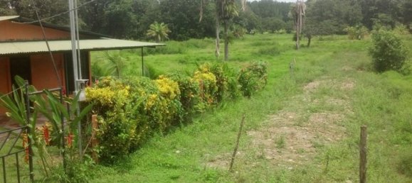 Land for sale in Puerto Jimenez, Puntarenas, Costa Rica № 1735 3