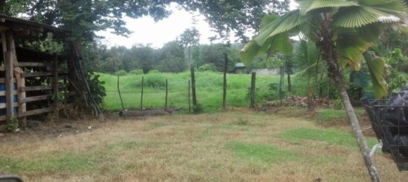 Land for sale in Puerto Jimenez, Puntarenas, Costa Rica № 1735 4